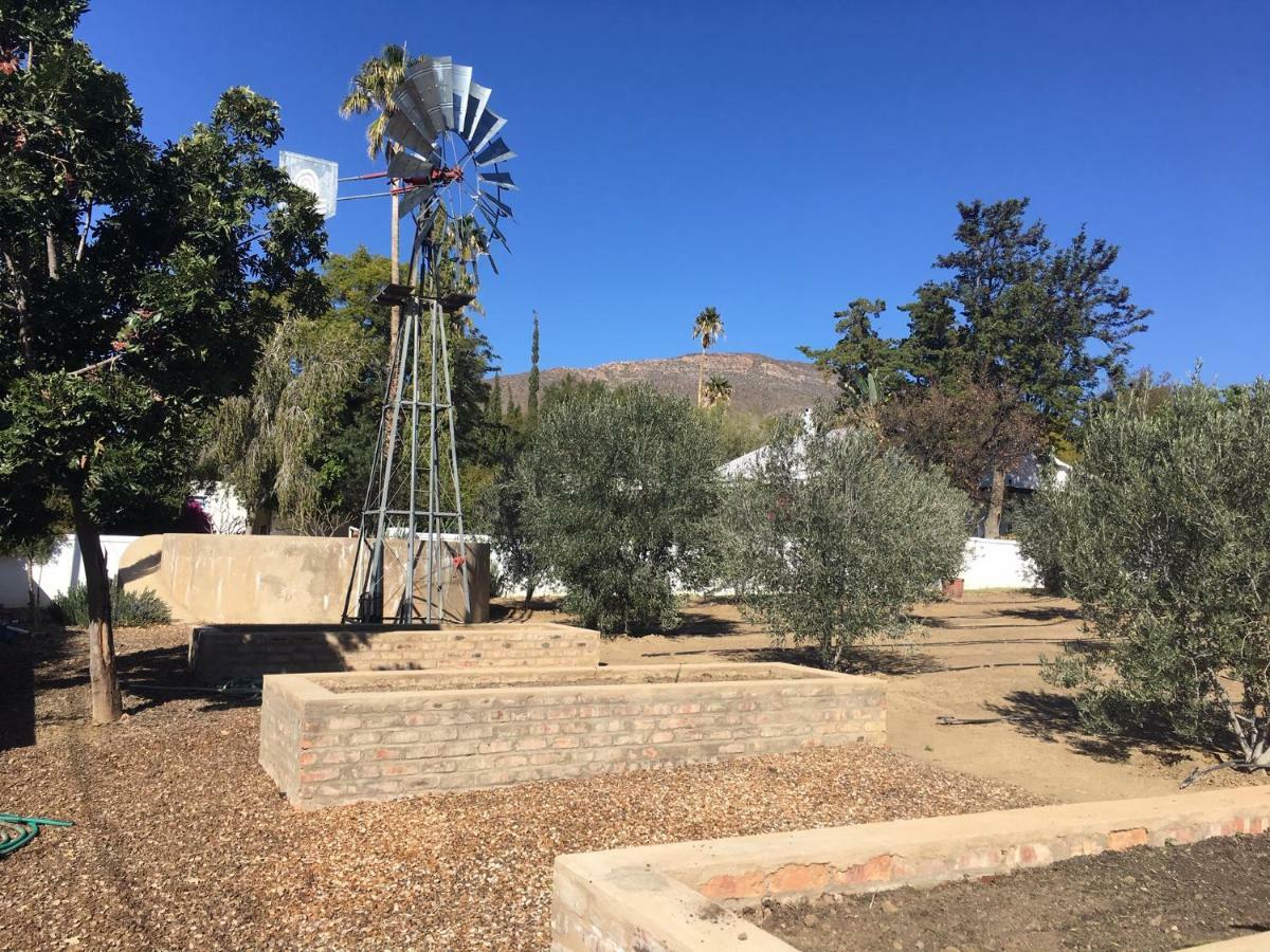 Karoo View Cottages Prince Albert Kültér fotó